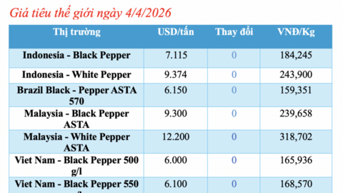 Giá tiêu hôm nay 4/4/2026: Đảo chiều, giảm 500 - 1.000 đồng/kg