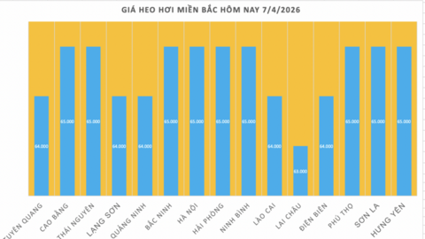 Giá heo hơi hôm nay 7/4/2026: Tăng nhẹ vài nơi