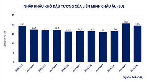 Giá đậu tương bật tăng lên cao