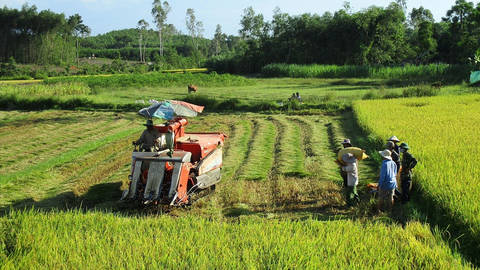 Tích hợp 4 Chương trình mục tiêu quốc gia thành một Chương trình chung