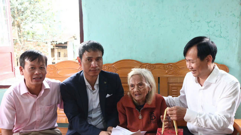 Quảng Ngãi: Trao hơn 18.500 cây sâm Ngọc Linh cho gia đình chính sách