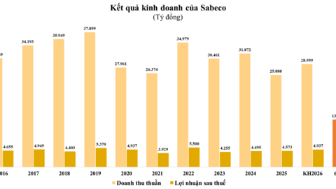 Sabeco báo lãi gần 2.500 tỷ đồng trong nửa đầu năm, lượng tiền mặt chiếm 65% tổng tài sản