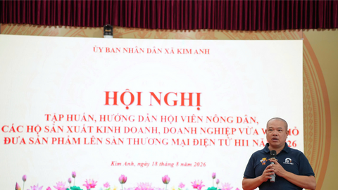 Nông dân, hộ kinh doanh bán hàng trên thương mại điện tử: Hiệu quả 'đo' bằng gì?