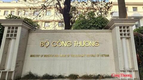 Chức năng, nhiệm vụ, quyền hạn và cơ cấu tổ chức của Cục Xuất nhập khẩu