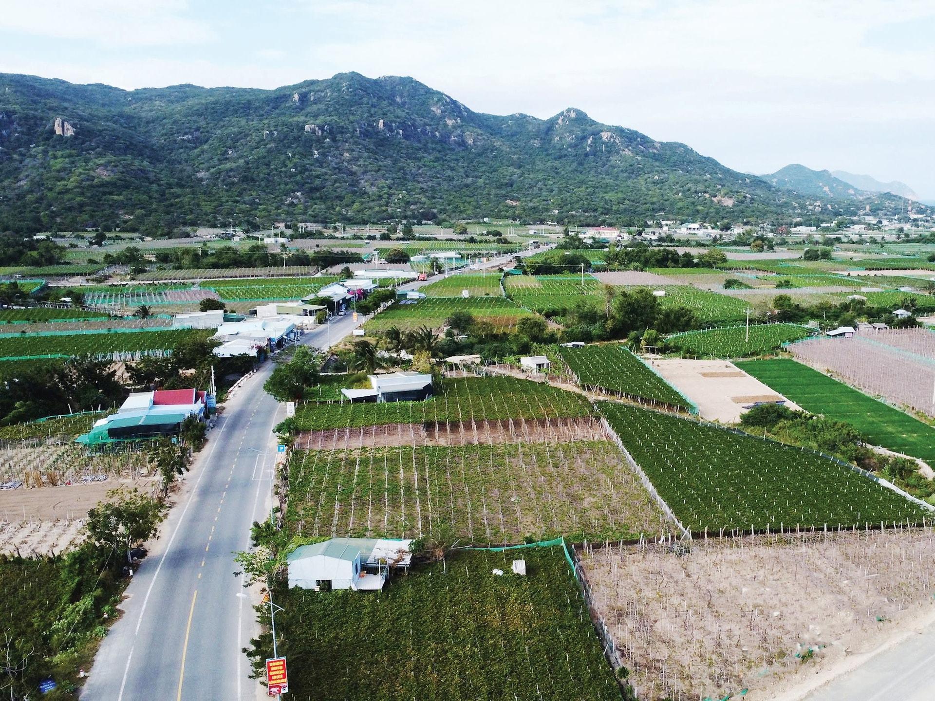 Xã Phước Dinh (Thuận Nam) nơi quy hoạch xây dựng Nhà máy điện hạt nhân Ninh Thuận 1