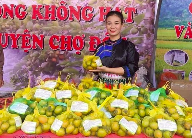 Chính quyền địa phương tích cực quảng bá, xúc tiến tiêu thụ cho hồng không hạt. Ảnh minh hoạ