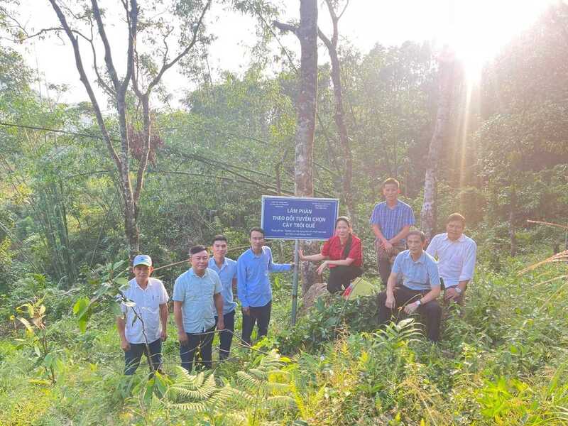 Lãnh đạo địa phương thăm quan mô hình trồng quế hữu cơ tại xã Quảng Tân, tỉnh Quảng Nninh. Ảnh: CTV