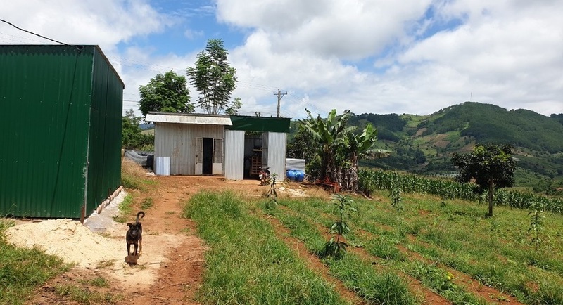 Xây dựng lán, trại trên đất nông nghiệp.