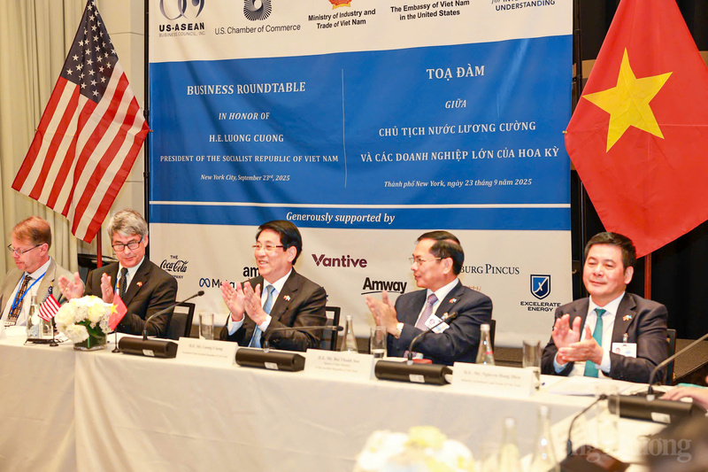 Phó Thủ tướng Chính phủ Bùi Thanh Sơn, Bộ trưởng Bộ Công Thương Nguyễn Hồng Diên cùng lãnh đạo các bộ, ngành Việt Nam tháp tùng Chủ tịch nước Lương Cường tại sự kiện.