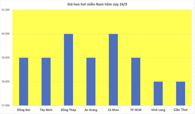 Giá heo hơi hôm nay 24/9/2025: Tiếp tục giảm nhẹ - 3