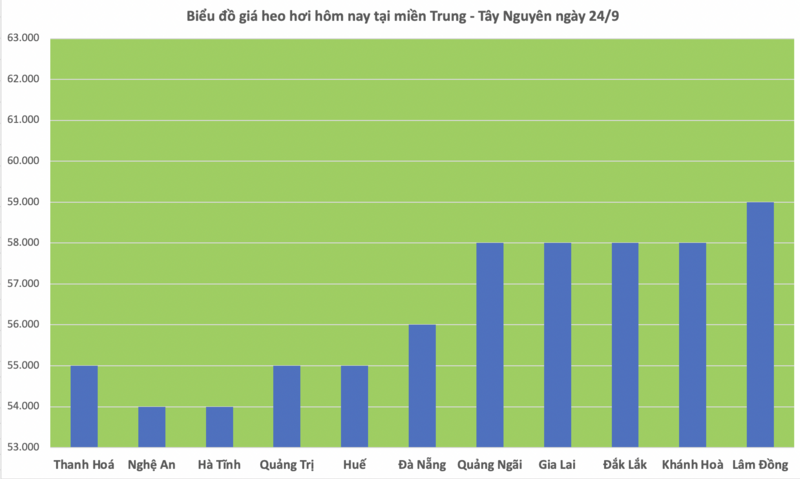 Giá heo hơi hôm nay 24/9/2025: Tiếp tục giảm nhẹ - 2