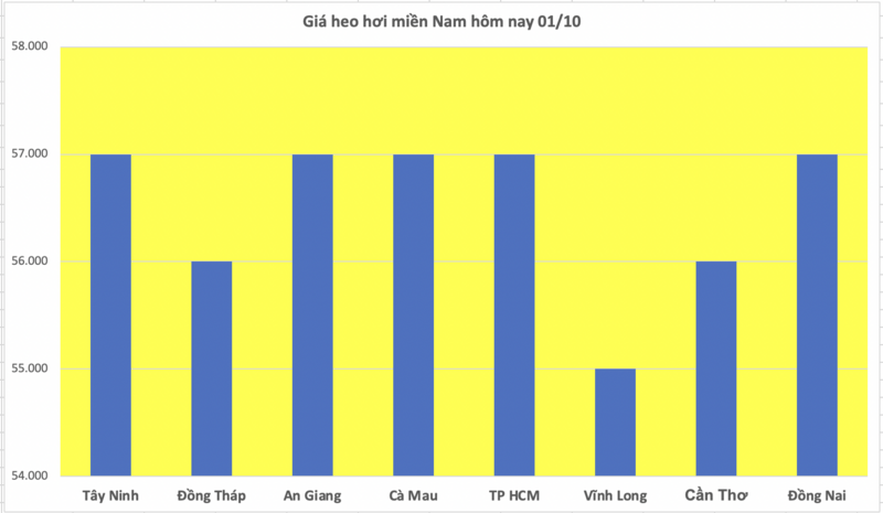 Giá heo hơi hôm nay 01/10/2025: Giảm đồng loạt cả 3 miền - 3