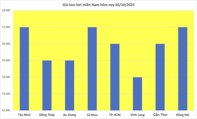 Giá heo hơi hôm nay 3/10/2025: Miền Trung và miền Nam tiếp đà giảm - 3
