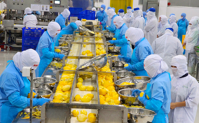 Trên thực tế, nhiều doanh nghiệp không biết đến sự tồn tại của các FTA. Ảnh: Minh Trung