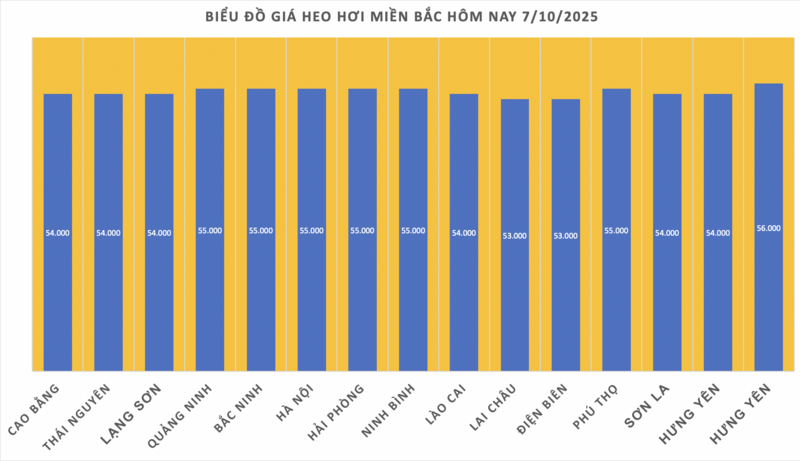 Giá heo hơi hôm nay 7/10/2025: Giảm đồng loạt ở cả 3 miền - 1