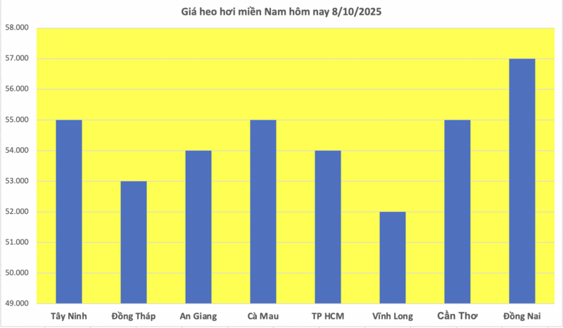 Giá heo hơi hôm nay 8/10/2025: Tiếp đà giảm tại miền Trung và miền Nam - 2