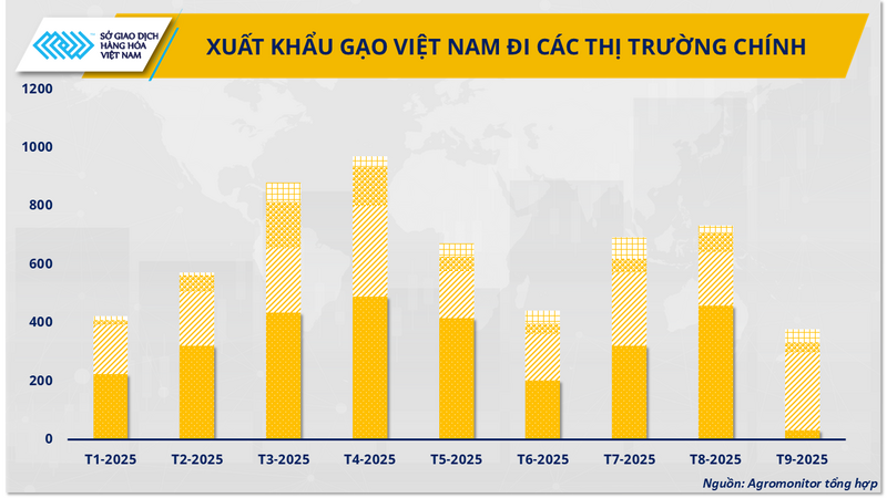 Xuất khẩu gạo Việt Nam đi các thị trường chính (Nguồn_ Agromonitor tổng hợp)