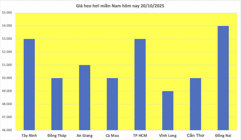 Giá heo hơi hôm nay 20/10/2025: Phiên đầu tuần lặng sóng - 3