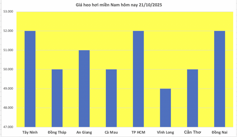 Giá heo hơi hôm nay 21/10/2025: Biến động trái chiều - 3