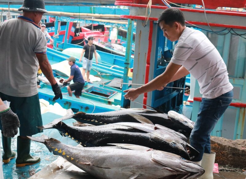 Việt Nam đứng thứ 7 trong danh sách các nước xuất khẩu thủy sản vào EU. Ảnh: NNVN