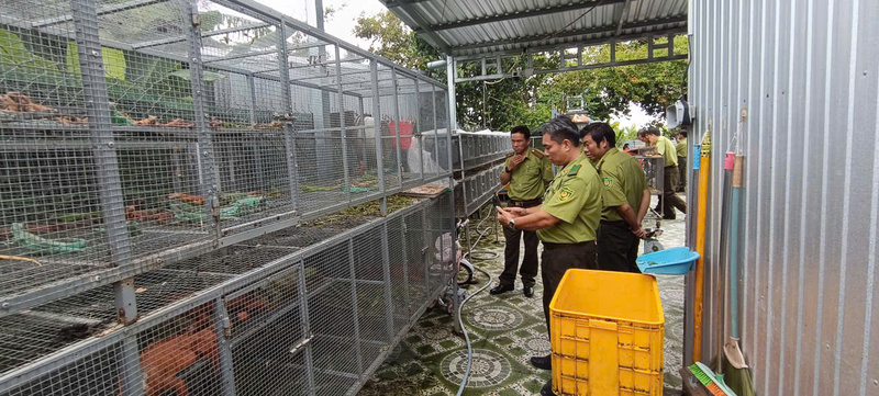 Cục Lâm nghiệp và Kiểm lâm phối hợp cùng các lực lượng kiểm tra cơ sở nuôi tại Lô 14, ấp Bình Thành, xã Thoại Sơn, tỉnh An Giang. Ảnh: Cục Lâm nghiệp và Môi trường.