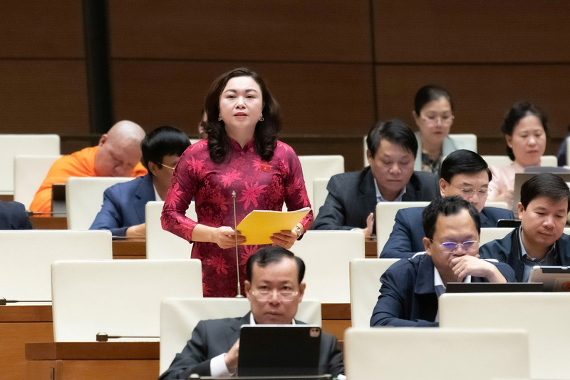 Đại biểu Đặng Bích Ngọc - đoàn Phú Thọ