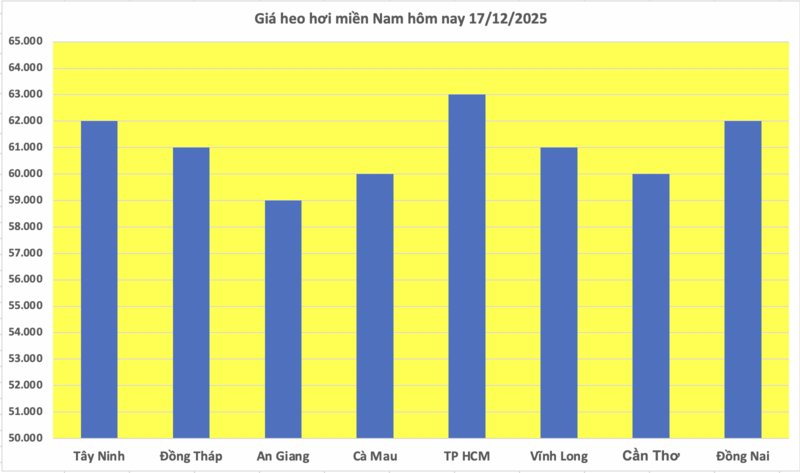 Giá heo hơi hôm nay 17/12/2025: Tiếp tục lập đỉnh mới 66.000 đồng/kg - 3