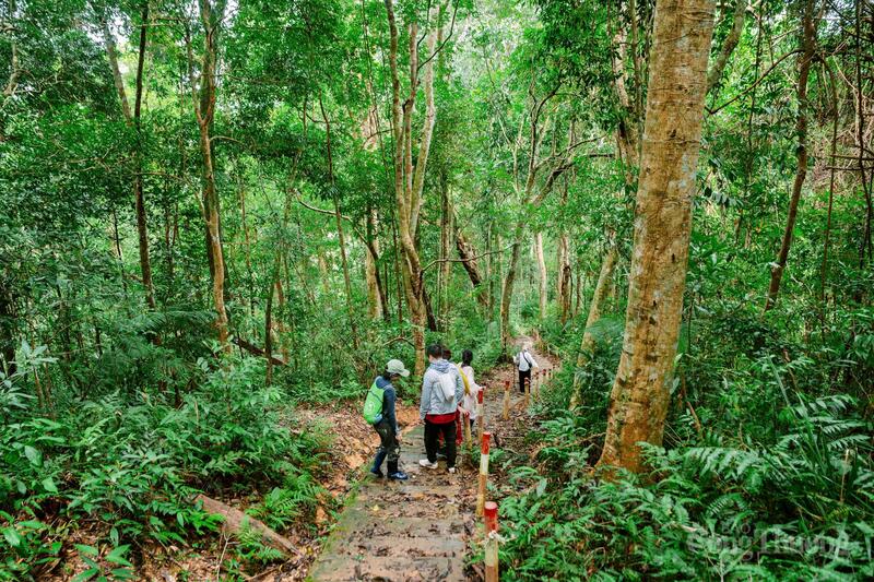 Gia Lai hiện có gần 1 triệu ha đất rừng, trong đó rừng tự nhiên chiếm trên 692.000 ha. Ảnh: Hiền Mai