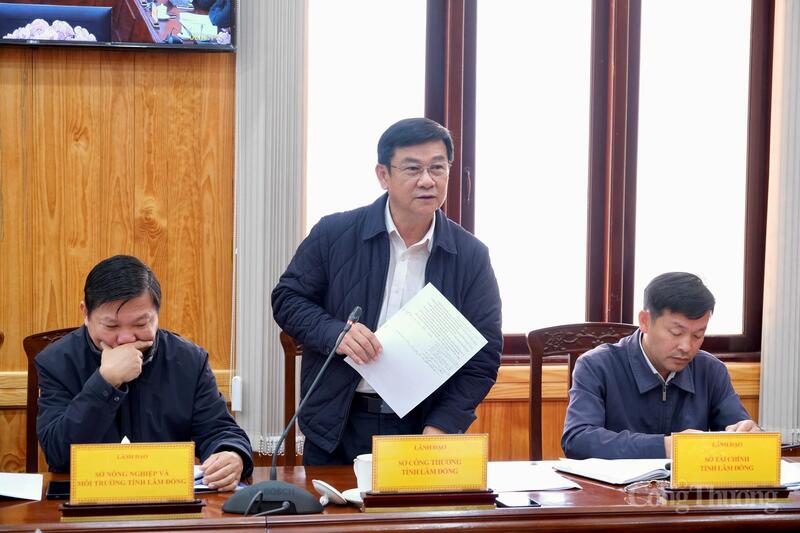 Lãnh đạo Sở Công Thương Lâm Đồng nêu ý kiến tại buổi làm việc. Ảnh: Minh An.