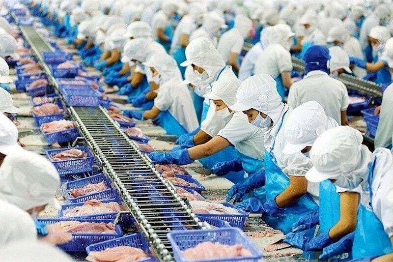 Năm 2025, Việt Nam giữ vị trí là đối tác cung ứng thủy sản thứ 3 tại thị trường Singapore với giá trị nhập khẩu đạt 125,5 triệu SGD. Ảnh minh họa