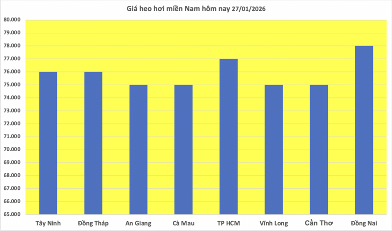 Giá heo hơi hôm nay 27/1/2026: Tăng mạnh, miền Bắc lập 'đỉnh' mới - 3