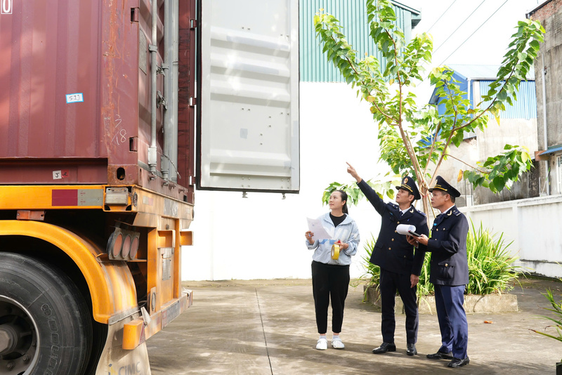 Tăng cường kiểm soát mặt hàng đá nhân tạo, gạch ốp lát nhập khẩu. Ảnh minh họa: CHQ