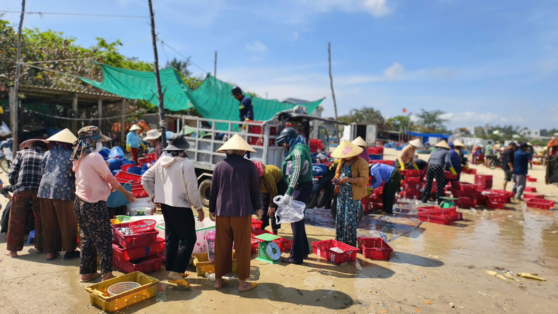 Trên bờ, các thương lái nhộn nhịp thu mua. Ảnh: Nguyễn Dương