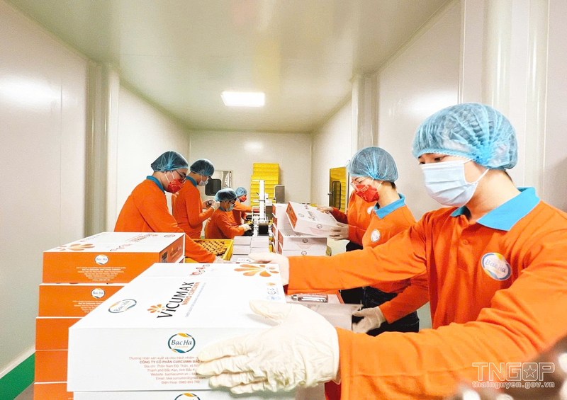 Công nhân đóng gói sản phẩm xuất khẩu. Ảnh: thainguyen.gov.vn