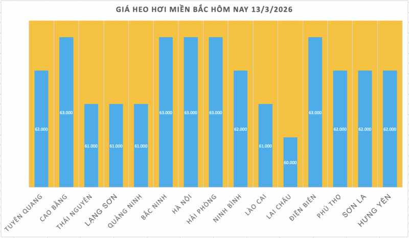 Giá heo hơi hôm nay 13/3/2026: Biến động trái chiều - 1