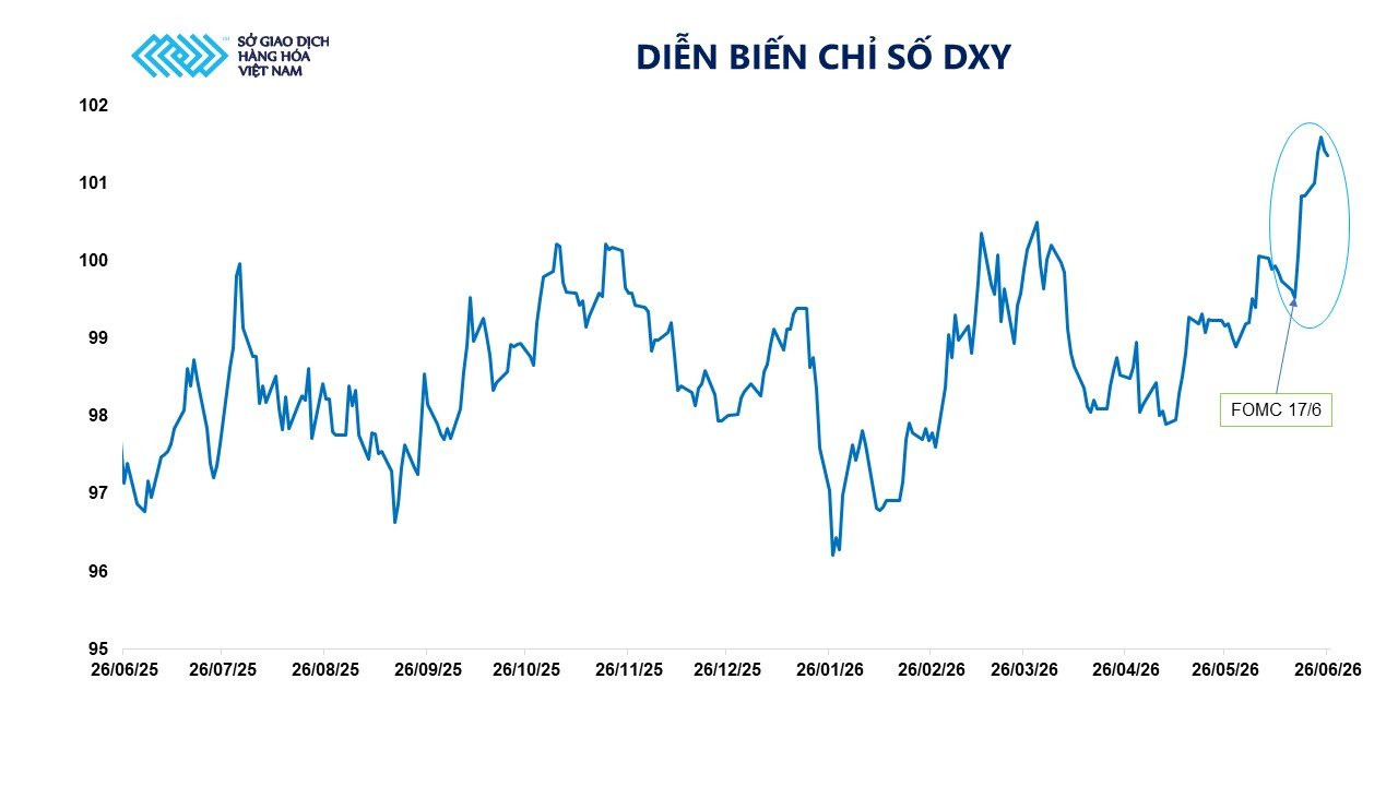 anh-5_-dien-bien-chi-so-dxy.jpg