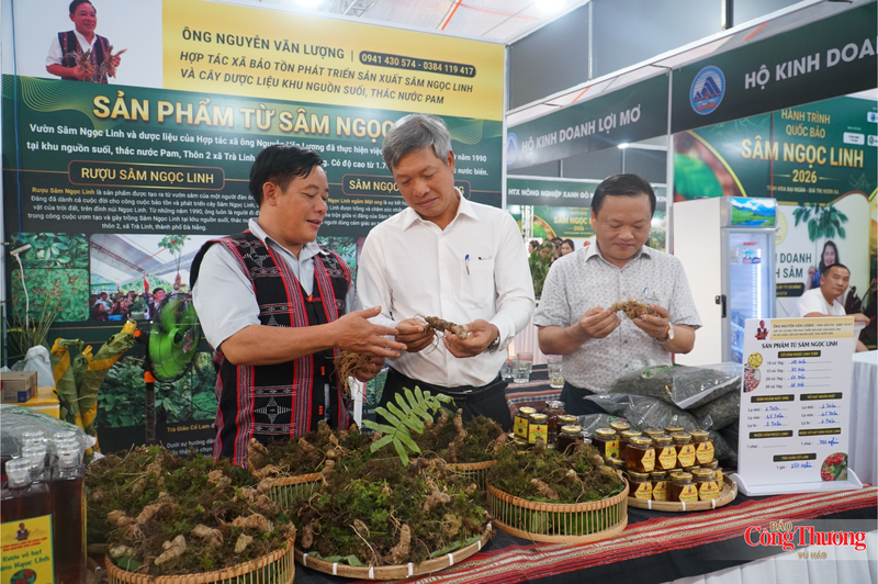Ông Nguyễn Văn Lượng, Giám đốc HTX Bảo tồn, phát triển, sản xuất sâm Ngọc Linh và dược liệu khu nguồn suối thác nước Pam (xã Trà Linh) (ngoài cùng bên trái) mong muốn sẽ quảng bá, kết nối và tìm đầu ra ổn định cho sâm Ngọc Linh qua chương trình quảng bá được tổ chức mỗi tháng