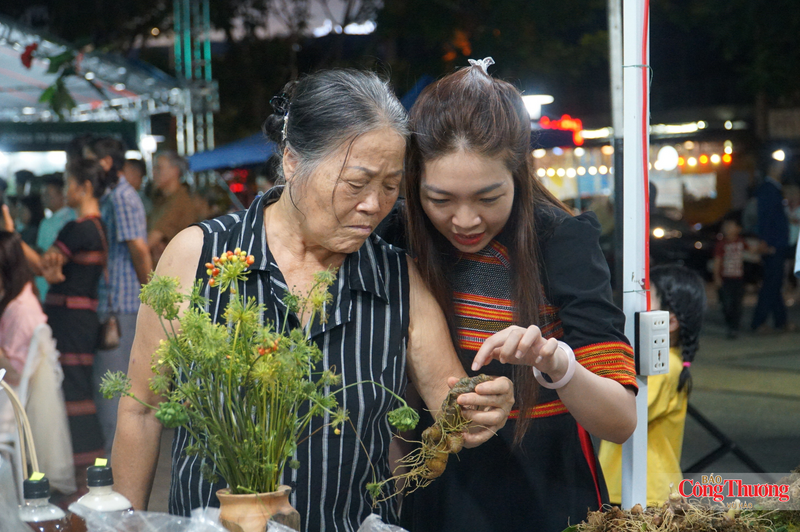 Người dân tìm hiểu về sâm Ngọc Linh tại chương trình giới thiệu, quảng bá sản phẩm sâm Ngọc Linh và dược liệu Đà Nẵng năm 2026