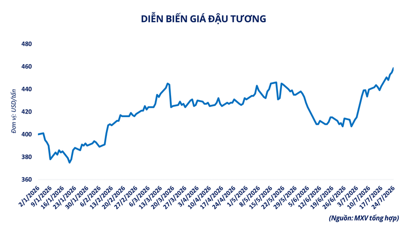 Dự báo sản lượng đậu tương tại các nước sản xuất chính
