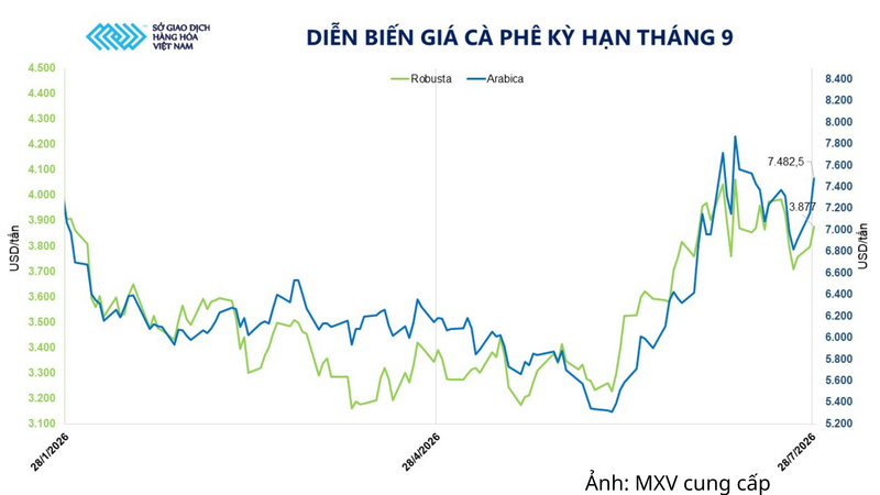 Diễn biến giá cà phê kỳ hạn tháng 9.
