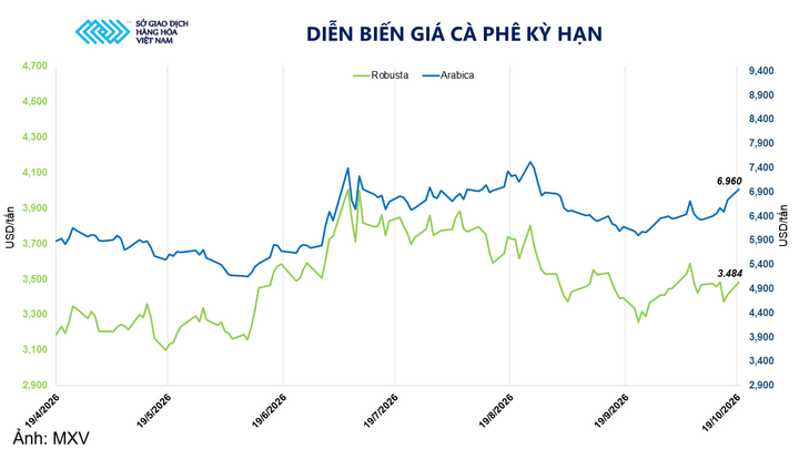Diễn biến giá cà phê kỳ hạn.