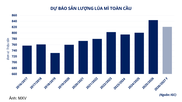 Dự báo sản lượng lúa mì toàn cầu.
