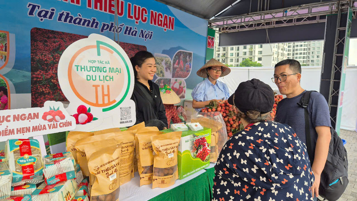 Người dân Thủ đô mua vải thiều Lục Ngạn trong chương trình